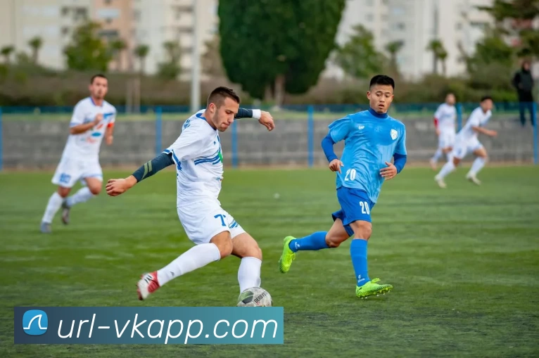 企业概况